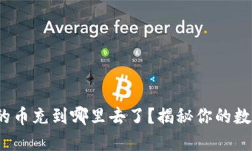  虚拟钱包的币充到哪里去了？揭秘你的数字资产流向