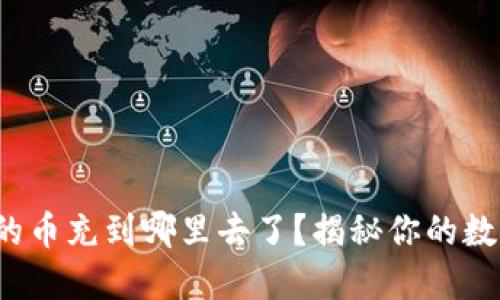  虚拟钱包的币充到哪里去了？揭秘你的数字资产流向