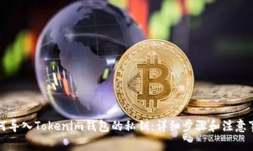 如何导入Tokenim钱包的私钥：详细步骤和注意事项