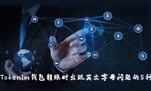 如何解决Tokenim钱包转账时出现英文字母问题的5种有效方法