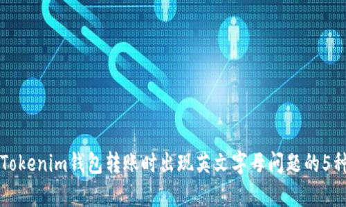 如何解决Tokenim钱包转账时出现英文字母问题的5种有效方法