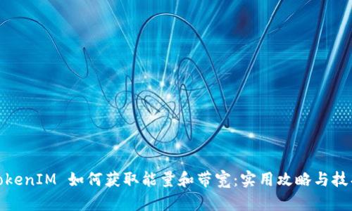 TokenIM 如何获取能量和带宽：实用攻略与技巧