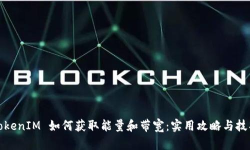 TokenIM 如何获取能量和带宽：实用攻略与技巧