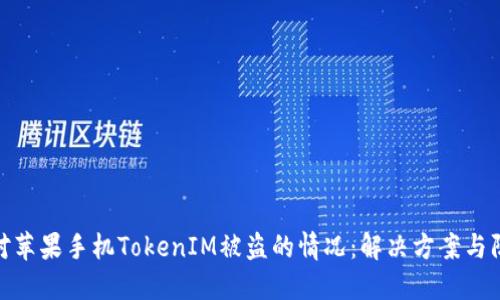 如何应对苹果手机TokenIM被盗的情况：解决方案与防范措施