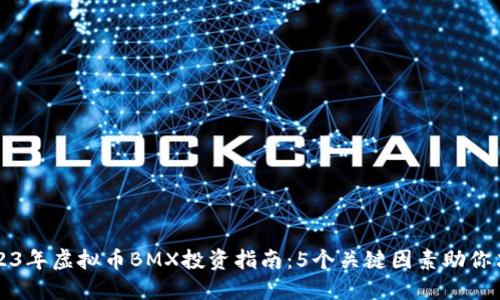 2023年虚拟币BMX投资指南：5个关键因素助你决策