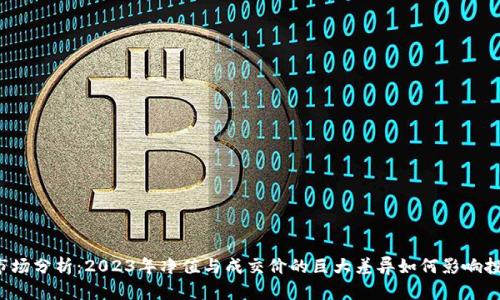 虚拟币市场分析：2023年净值与成交价的巨大差异如何影响投资决策？