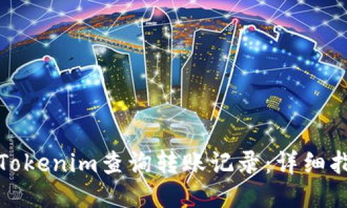 如何使用Tokenim查询转账记录：详细指南与技巧