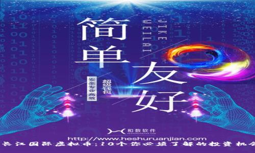 2023年长江国际虚拟币：10个你必须了解的投资机会和风险