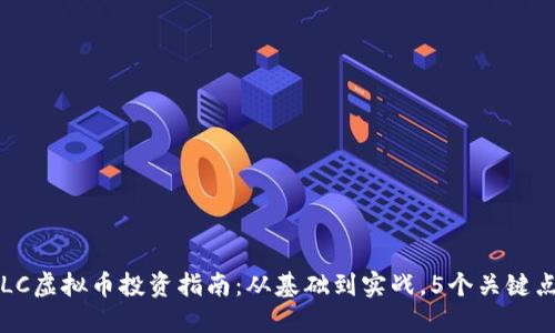 2023年FLC虚拟币投资指南：从基础到实战，5个关键点带你入门