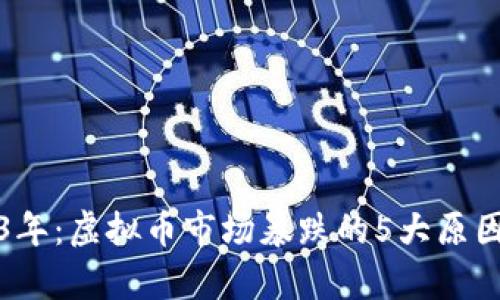 2023年：虚拟币市场暴跌的5大原因分析