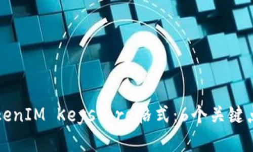 深入了解TokenIM Keystore格式：6个关键点与实操指导