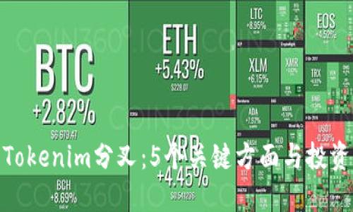 探索Tokenim分叉：5个关键方面与投资机会