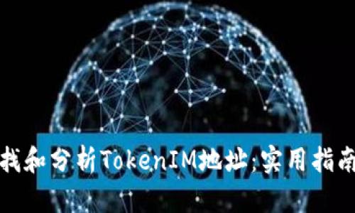 如何查找和分析TokenIM地址：实用指南与技巧