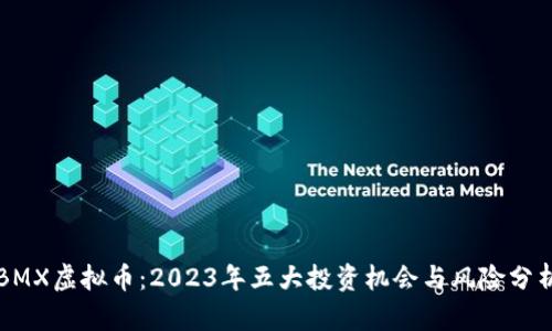 BMX虚拟币：2023年五大投资机会与风险分析