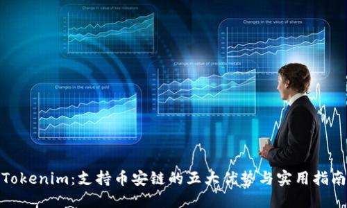 Tokenim：支持币安链的五大优势与实用指南