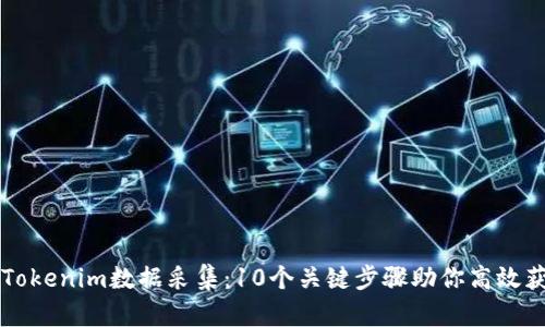 全面解析Tokenim数据采集：10个关键步骤助你高效获取与应用