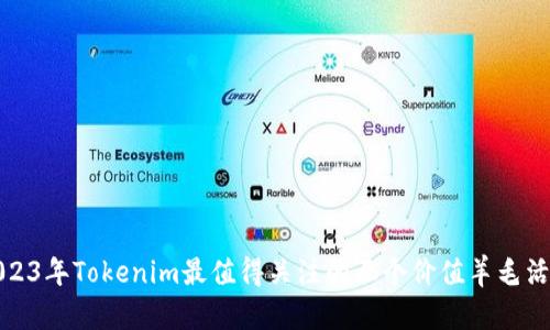 2023年Tokenim最值得关注的五个价值羊毛活动