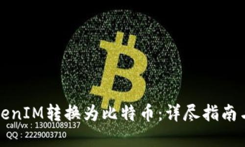 如何将TokenIM转换为比特币：详尽指南与实用技巧