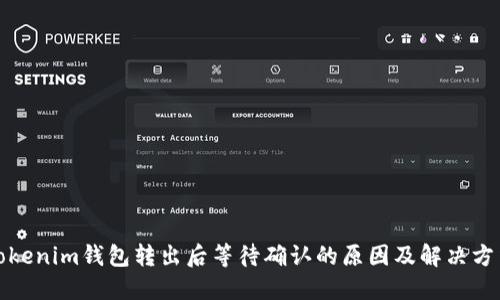 Tokenim钱包转出后等待确认的原因及解决方法