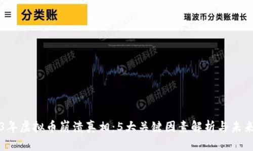 2023年虚拟币崩溃真相：5大关键因素解析与未来展望