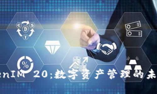 全面了解TokenIM 20：数字资产管理的未来趋势与实践