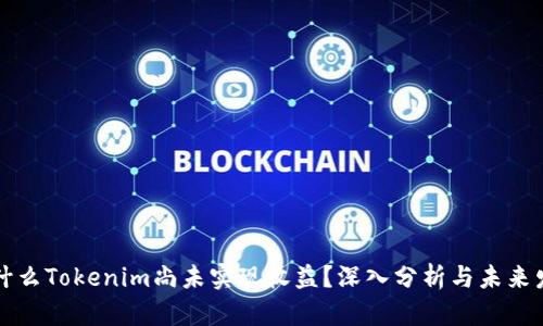 为什么Tokenim尚未实现收益？深入分析与未来发展