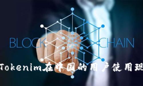 2023年最新：Tokenim在中国的用户使用现状及未来展望