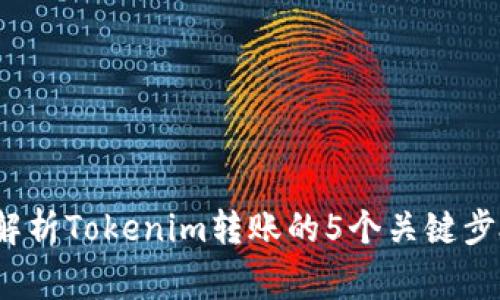 2023年深入解析Tokenim转账的5个关键步骤及注意事项