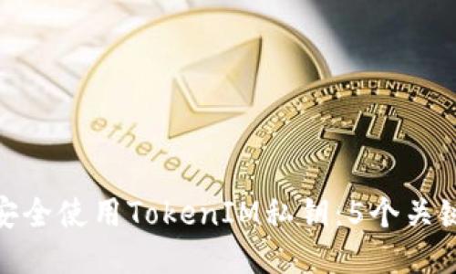 如何安全使用TokenIM私钥：5个关键步骤