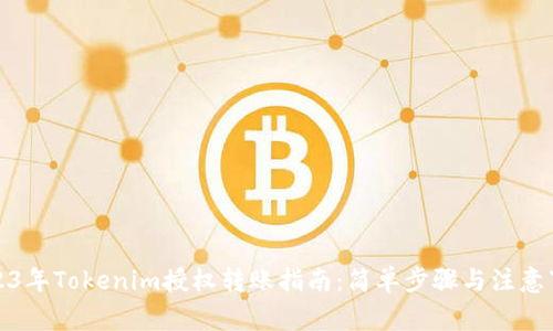 2023年Tokenim授权转账指南：简单步骤与注意事项