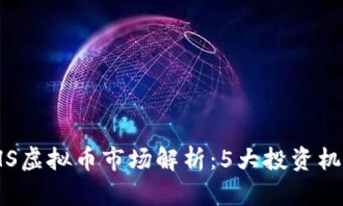 2023年HS虚拟币市场解析：5大投资机会和风险