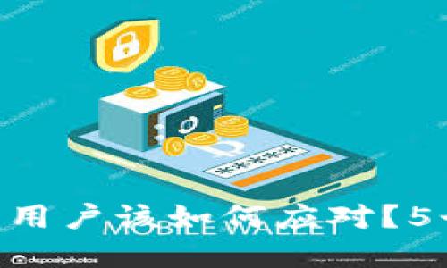 Tokenim钱包关停后用户该如何应对？5个解决建议让你安心