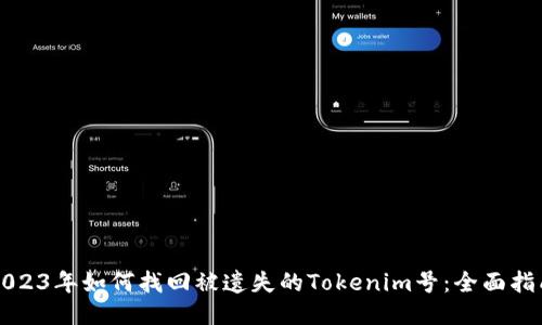 2023年如何找回被遗失的Tokenim号：全面指南