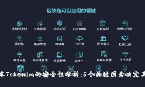 老版本Tokenim的安全性分析：5个关键因素决定其风险