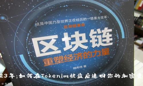 2023年：如何在Tokenim被盗后追回你的加密资产？