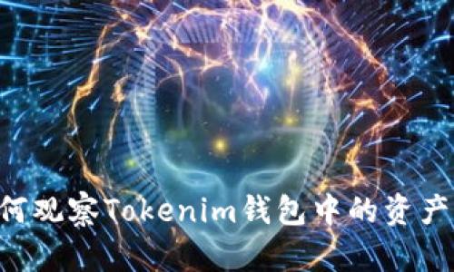 TP钱包如何观察Tokenim钱包中的资产：详细指南