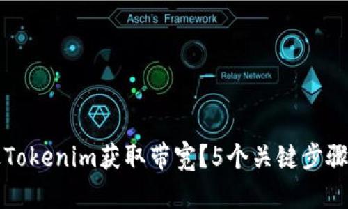如何通过Tokenim获取带宽？5个关键步骤详细解析