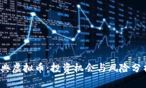 2023年比特经典虚拟币：投资机会与风险分析，5大关键要素