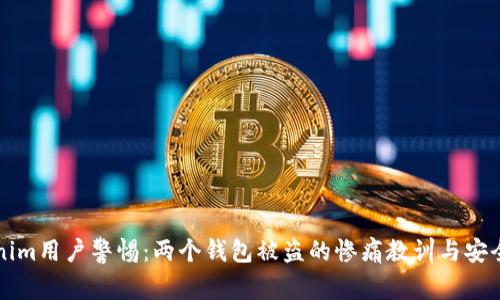 Tokenim用户警惕：两个钱包被盗的惨痛教训与安全对策