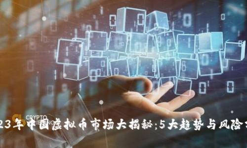 2023年中国虚拟币市场大揭秘：5大趋势与风险分析