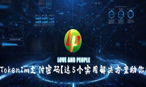 忘记TokenIm支付密码？这5个实用解决方案助你找回!