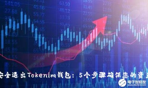 如何安全退出Tokenim钱包: 5个步骤确保您的资产安全