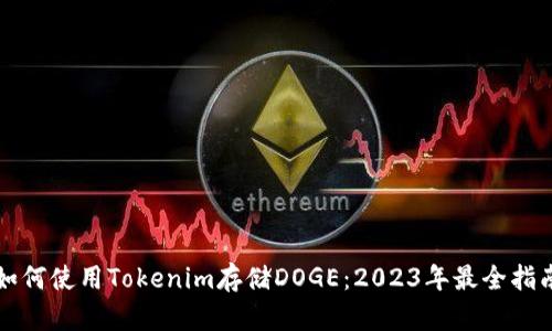 如何使用Tokenim存储DOGE：2023年最全指南