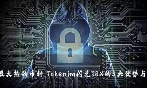 2023年最火热的币种：Tokenim闪兑TRX的5大优势与风险分析