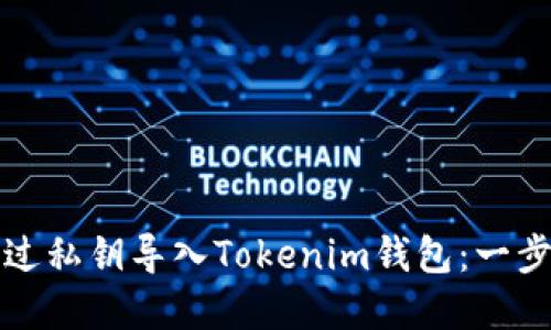 如何通过私钥导入Tokenim钱包：一步步详解