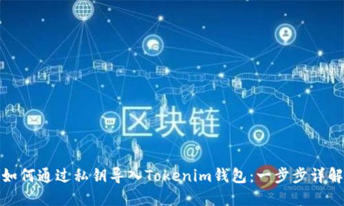 如何通过私钥导入Tokenim钱包：一步步详解