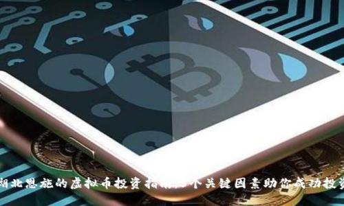 湖北恩施的虚拟币投资指南：5个关键因素助你成功投资