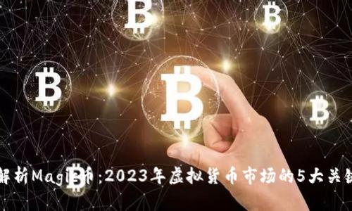 深入解析Magic币：2023年虚拟货币市场的5大关键特点