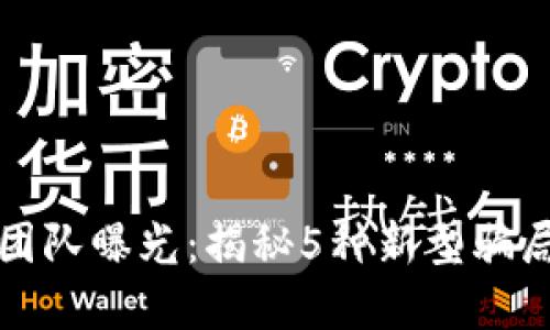2023年虚拟币诈骗团队曝光：揭秘5种新型骗局，保护你的投资安全