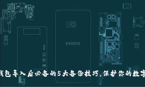 Tokenim钱包导入后必备的5大备份技巧，保护你的数字资产安全